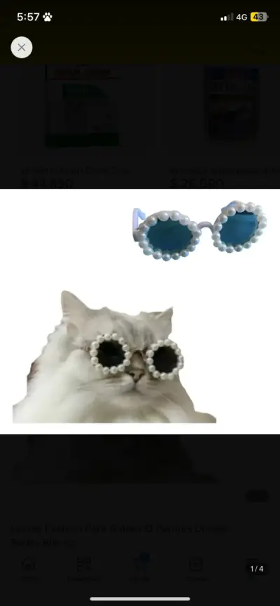 Lentes de sol para mascotas - miniatura 1