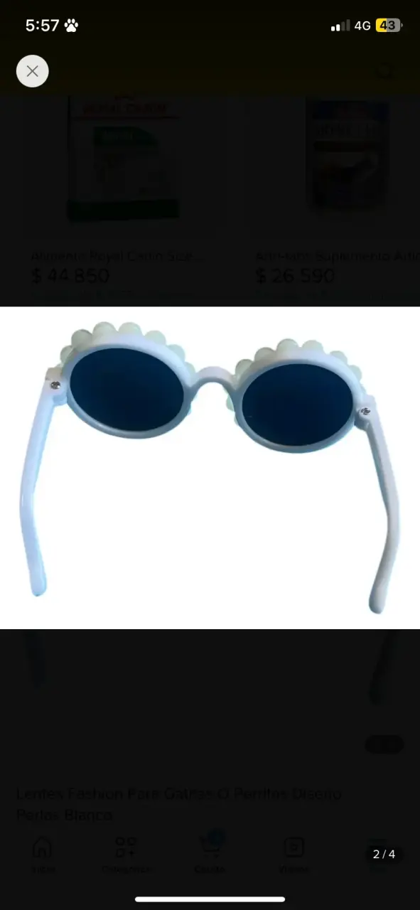 Lentes de sol para mascotas - 2