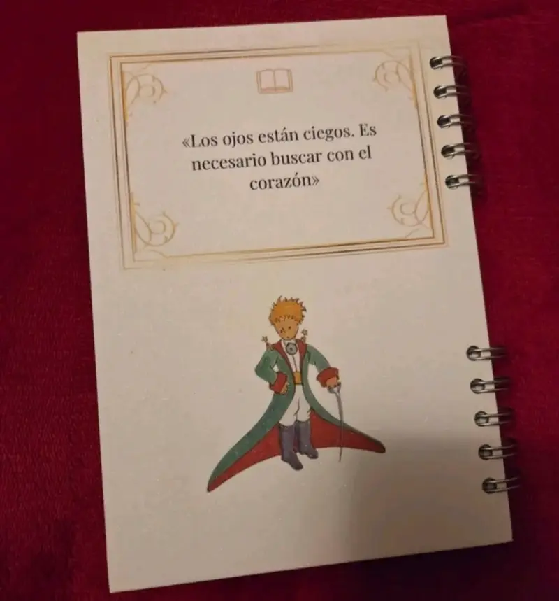 Cuaderno de lectura - El Principito - 4