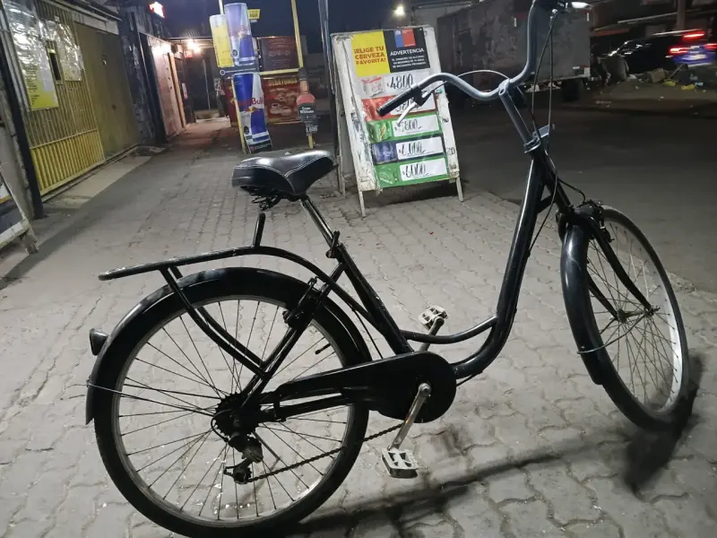 Bicicleta urbana clásica negra - 1