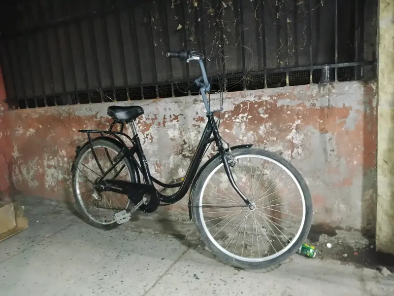 Bicicleta urbana clásica negra - 5