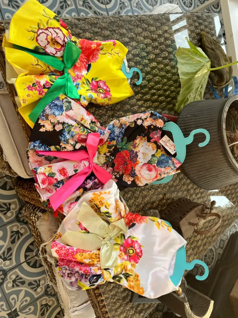 Ropa y accesorios de perro en remate - 2