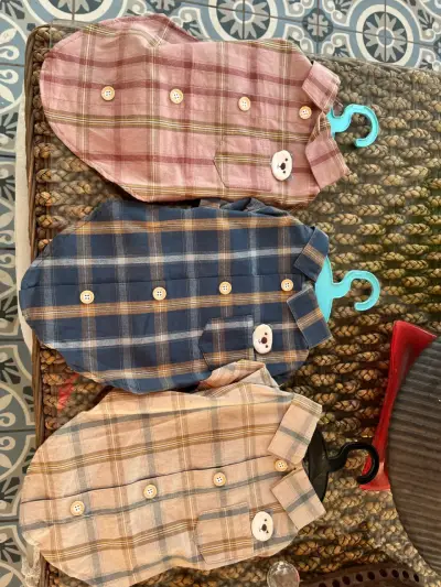Ropa y accesorios  de perro en remate - miniatura 3