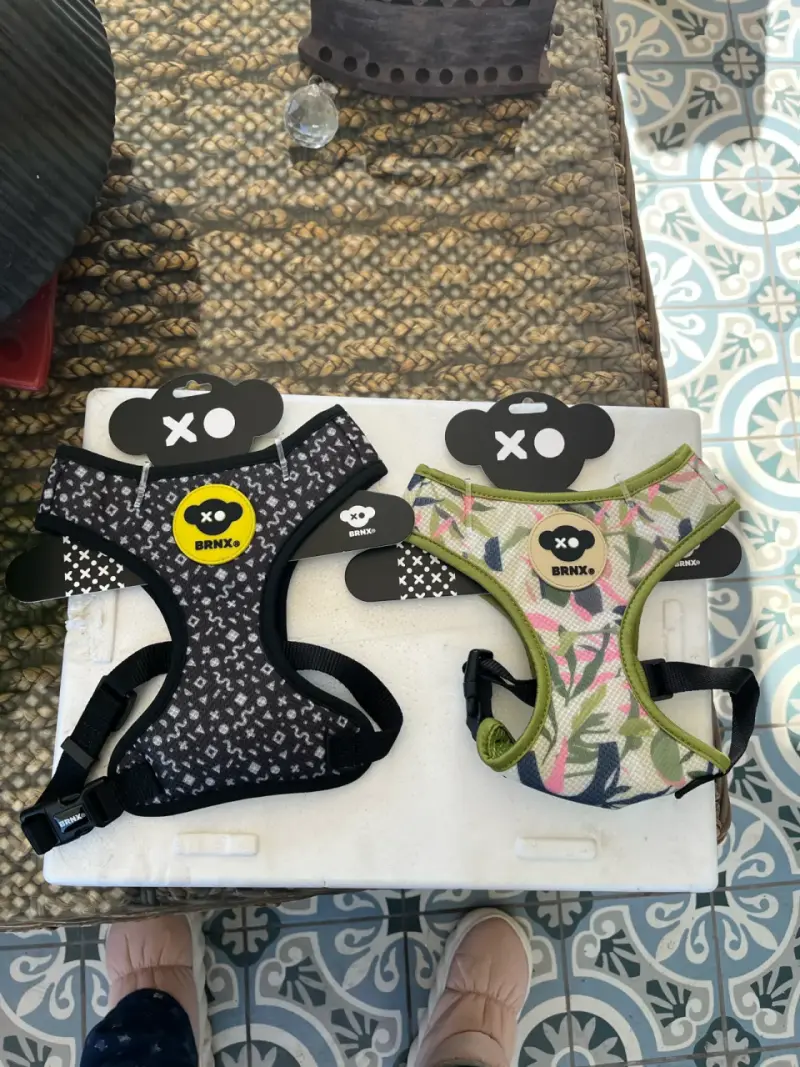 Ropa y accesorios de perro en remate - 5