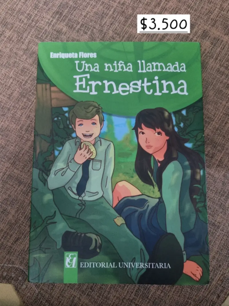 Libro 'Una niña llamada Ernestina'