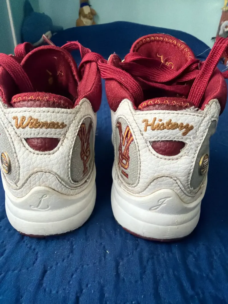 Zapatillas deportivas Lebron James nro 32 - 3