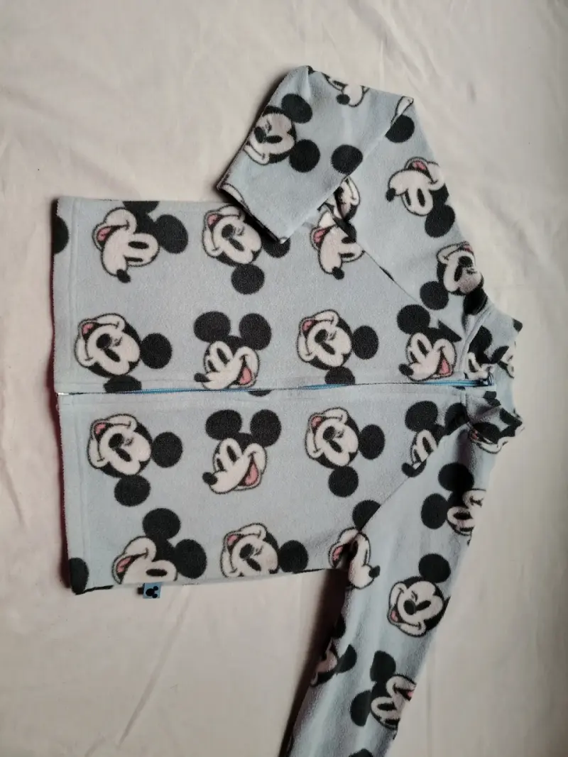Micro polar Mickey Mouse