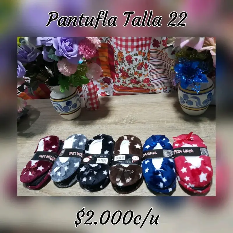 Pantufla talla 22