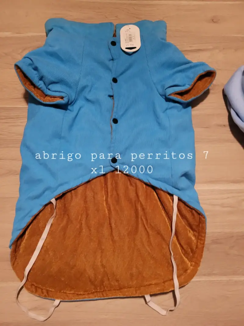 Capa de perro azul Star - 2