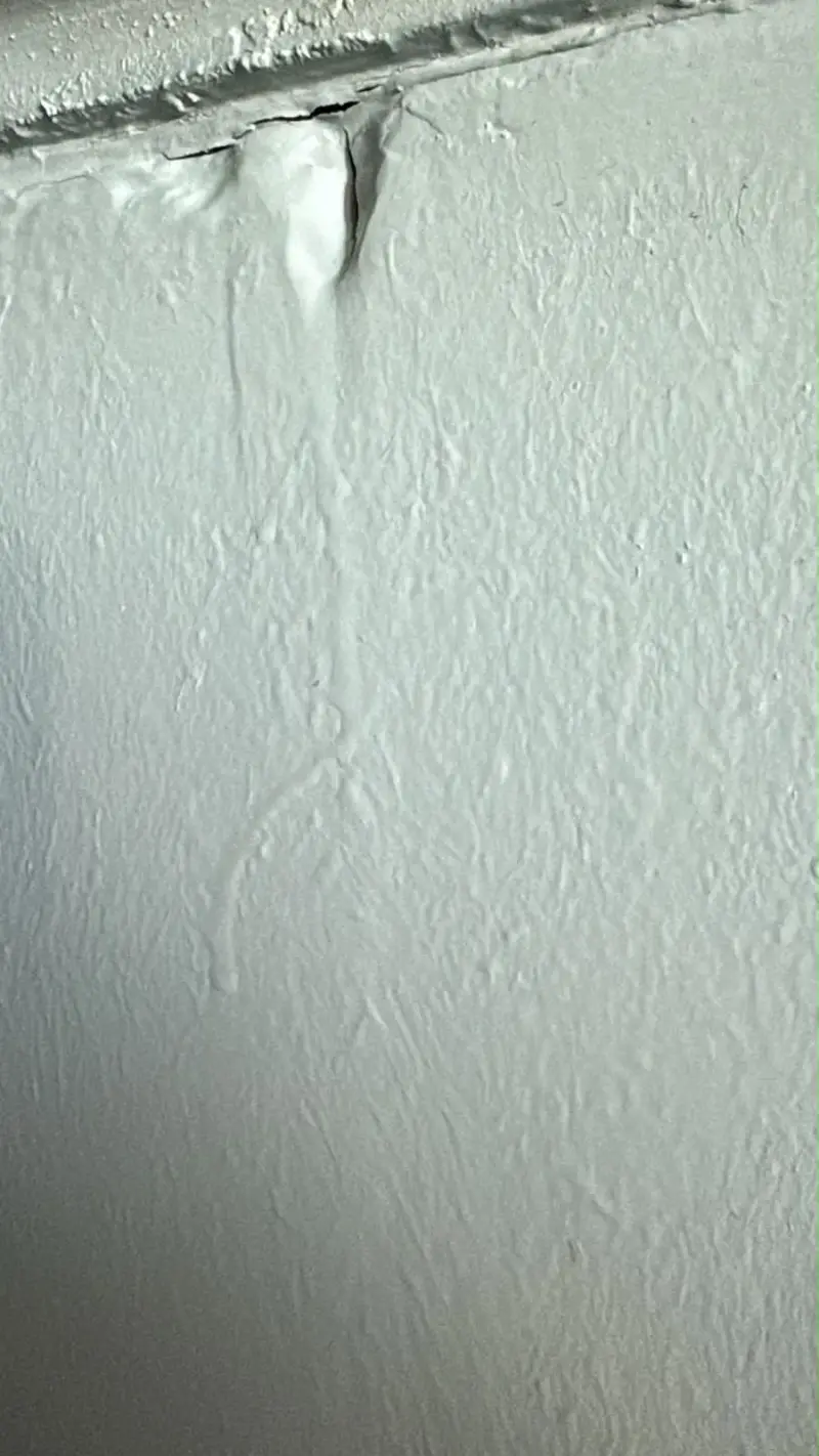 Xiaomi 11 Lite 5G NE - 2