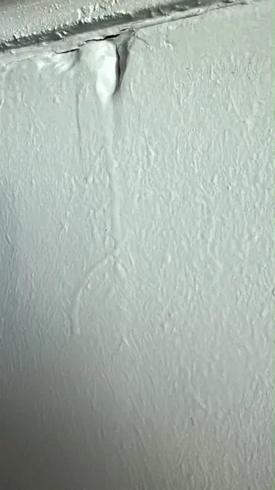 Xiaomi 11 Lite 5G NE - miniatura 2