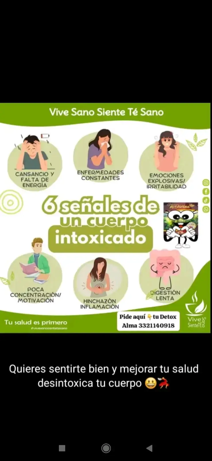 Té Divina natural y orgánico - 3