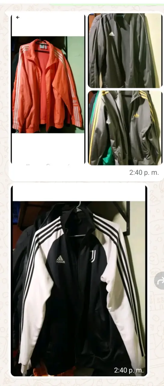 Chaquetas deportivas Adidas variadas