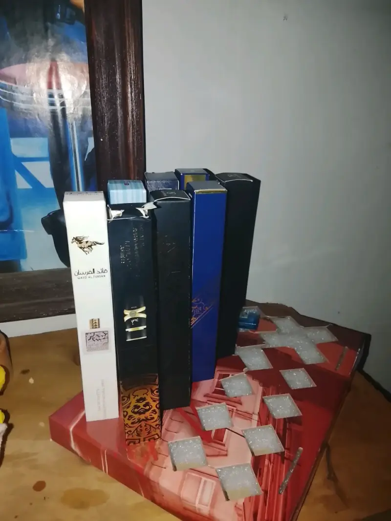 Lote de perfumes variados - 11