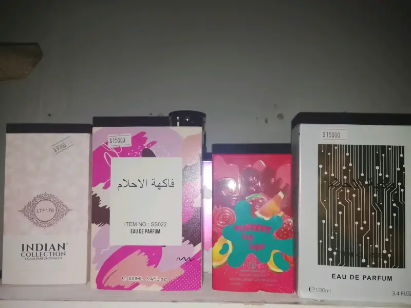 Lote de perfumes variados - 12