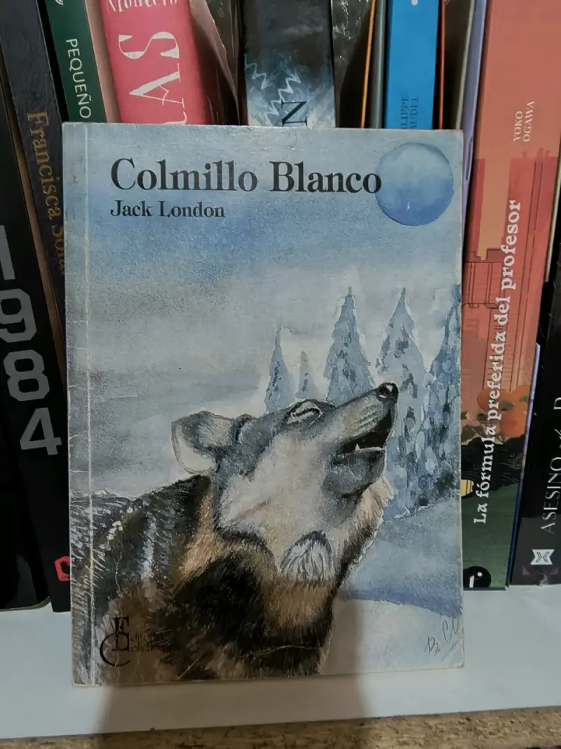 Libros - 5