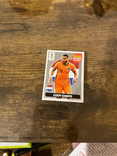 Lámina Panini Cody Gakpo - miniatura 2