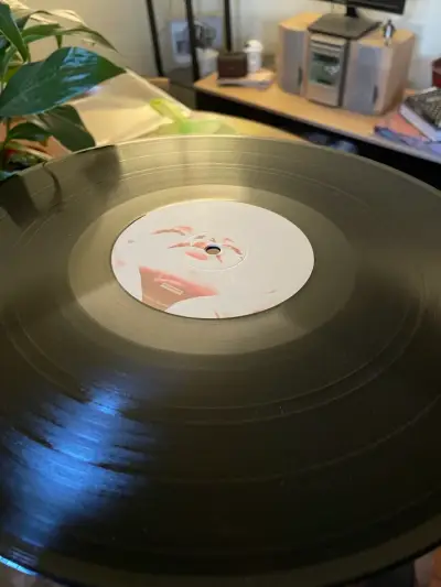 Vinilo Slipknot 'We Are Not Your Kind' - miniatura 3