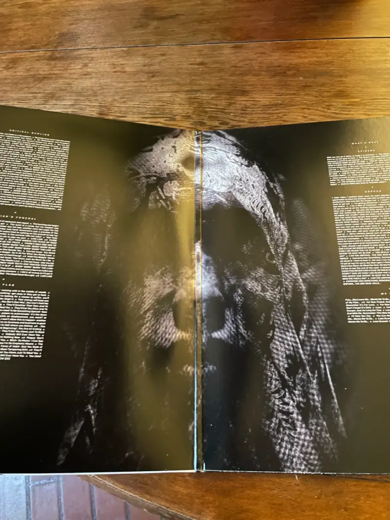 Vinilo Slipknot 'We Are Not Your Kind' - 4