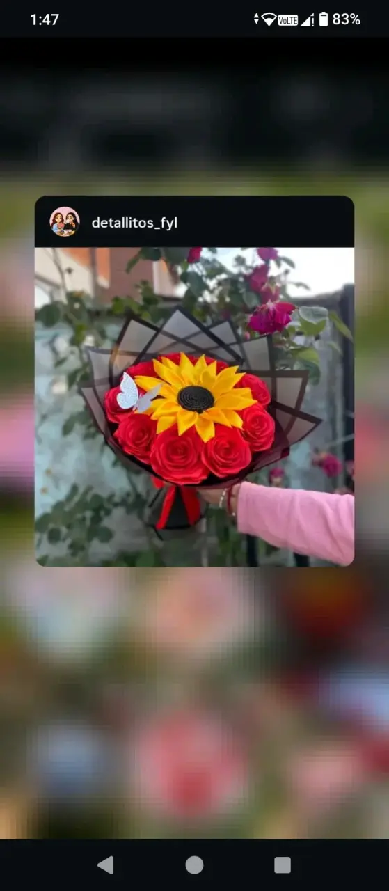 Ramo de rosas eternas, para toda ocasi贸n - 6