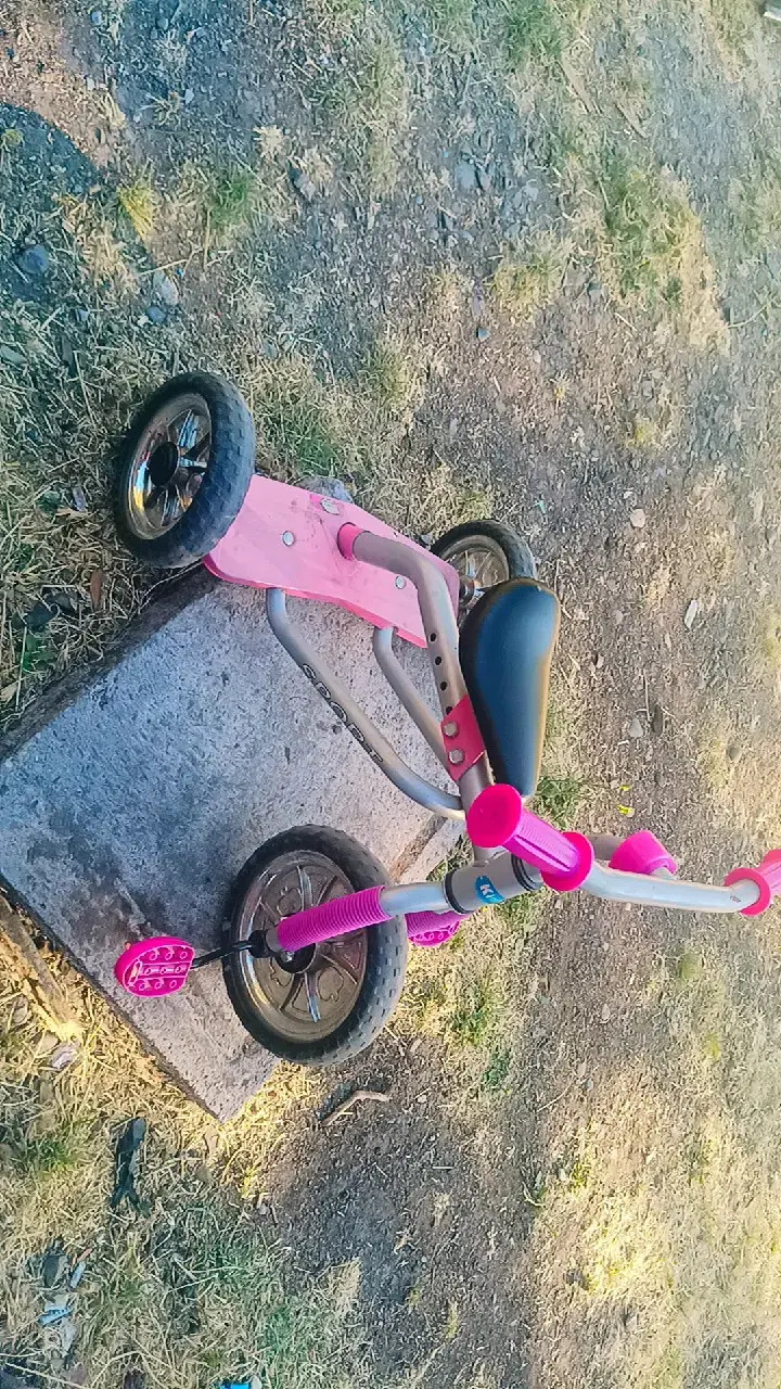 Triciclo - 1