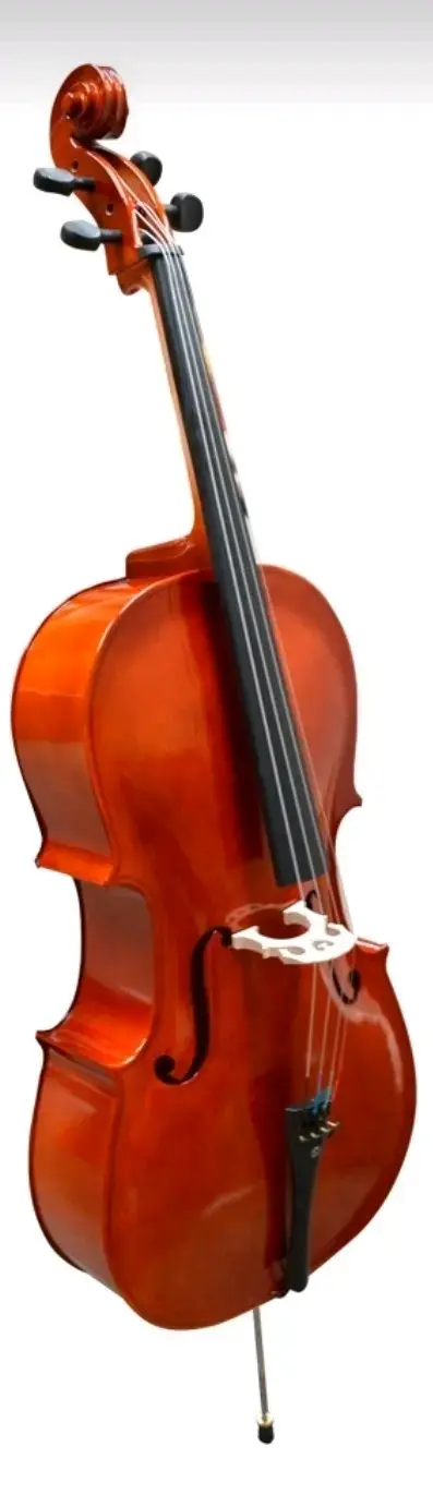 Violoncello con estuche - 2