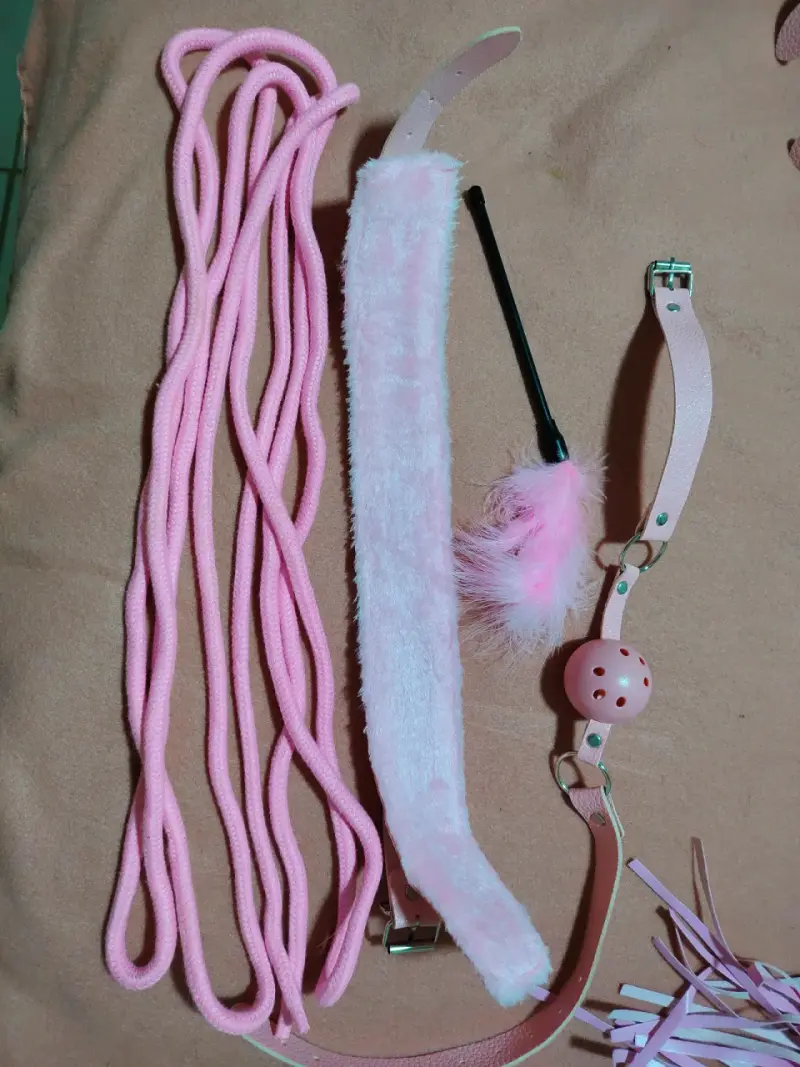Set de accesorios BDSM rosado - 5