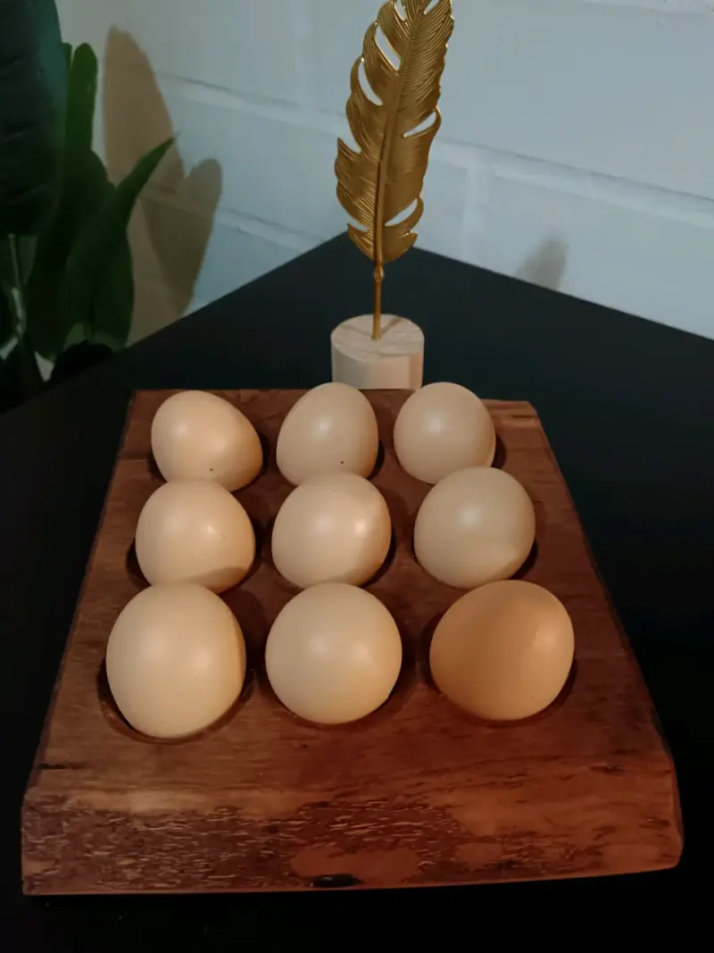 Huevera de madera roble decorativa - 1