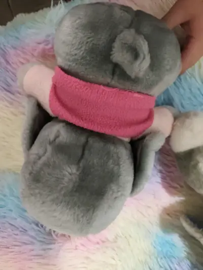 Peluches de Honey - miniatura 5