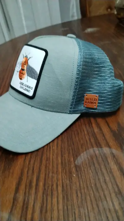 Gorra gris Wild Lama - miniatura 1