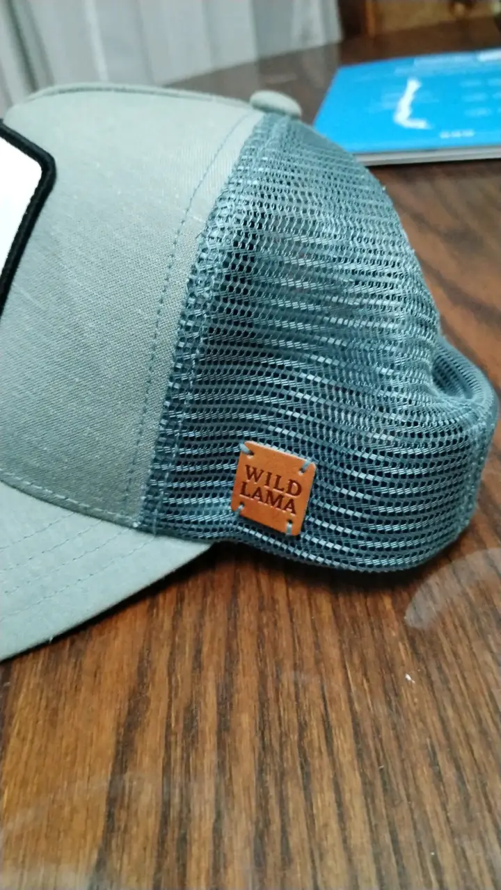 Gorra gris Wild Lama - 3