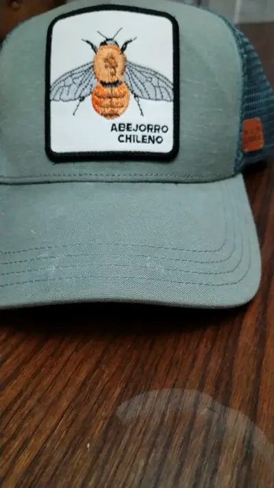 Gorra gris Wild Lama - miniatura 4