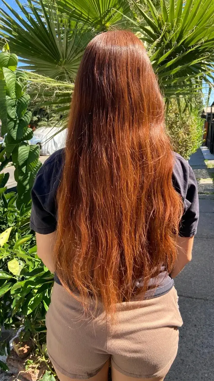 Alisados - 2