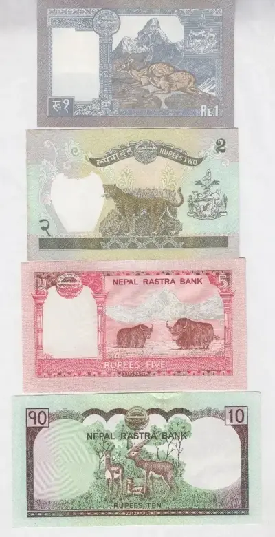 Coleccion 4 Billetes Nepal Diferentes Modelos - miniatura 2