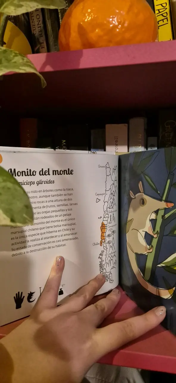 Libro ilustrado Fauna, Fungi, Flora - 2