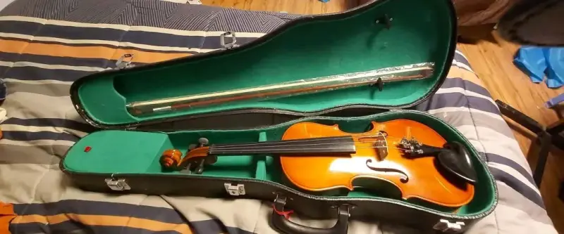 Violín 4/4 Palatino - 1