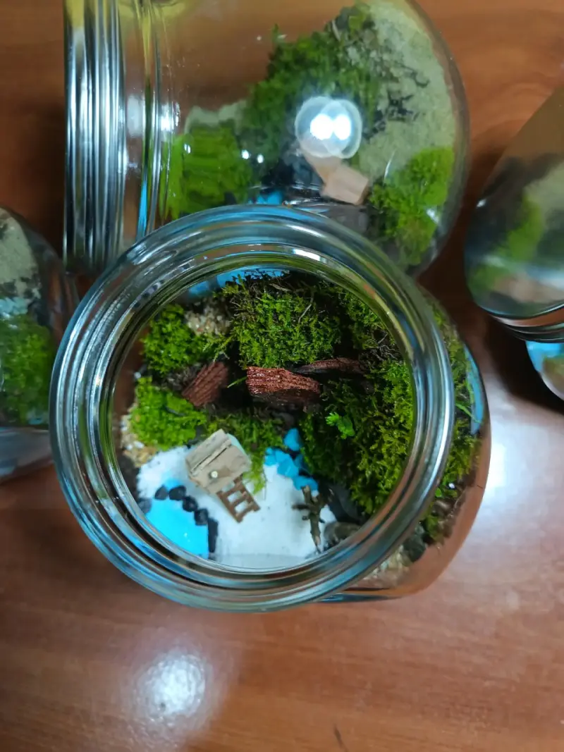 Jardincitos eternos 🌿 - 2