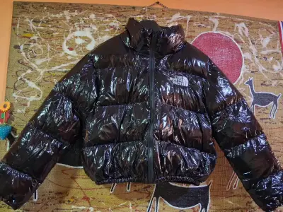 Chaqueta pluma negra The North Face - miniatura 1