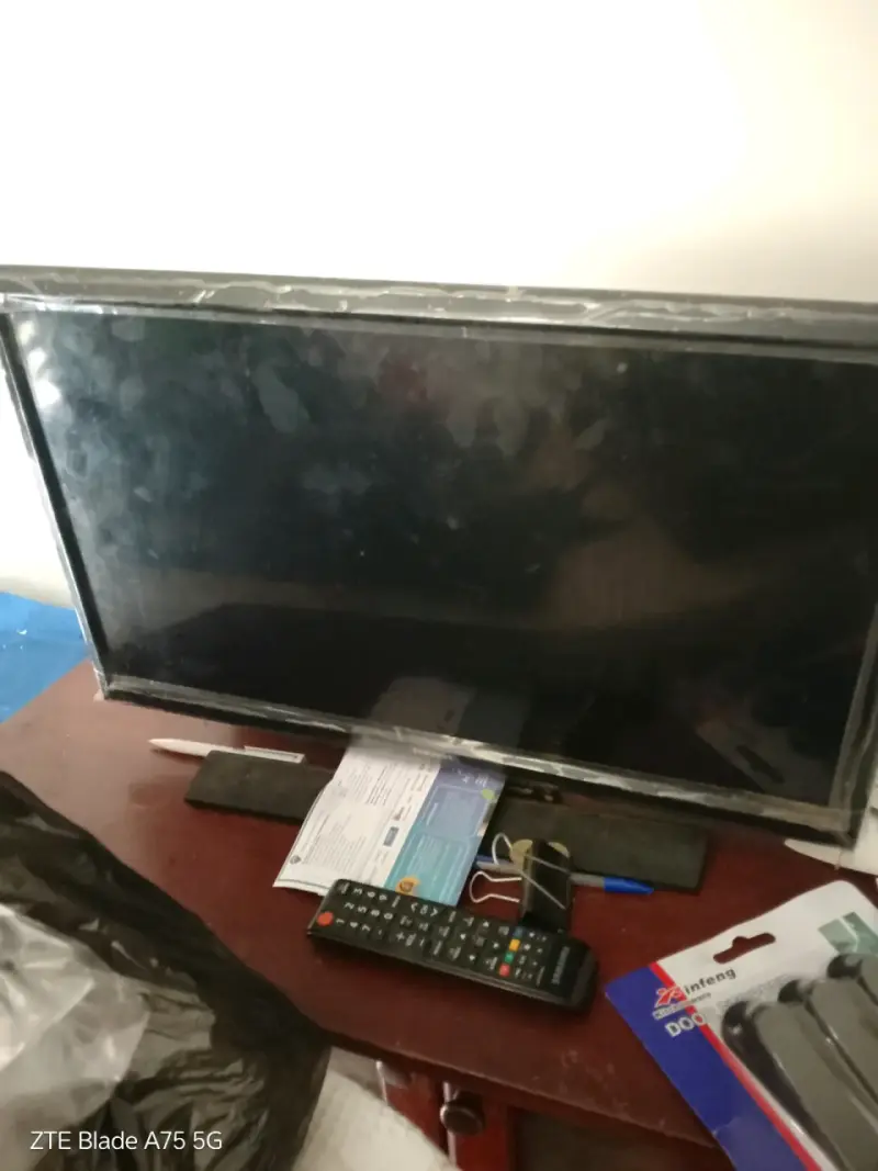 Televisor con control remoto