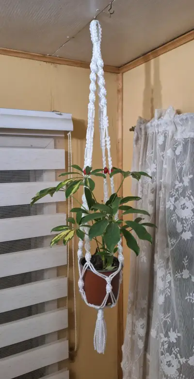 Hermosas cuelgas en macramé - miniatura 3