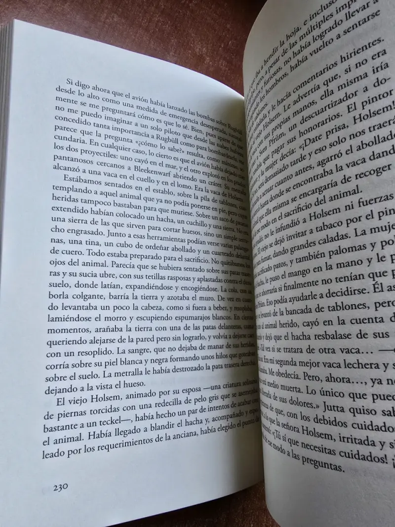 Libro 'Lección de alemán' de Lenz - 4