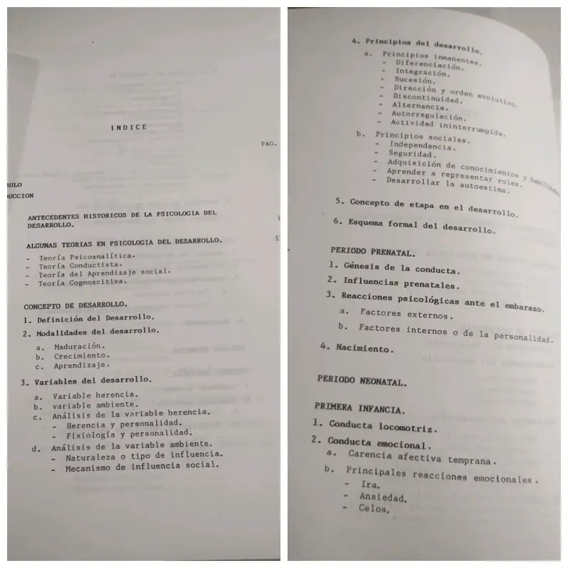 Psicología del Desarrollo. Héctor Castillo Gatica - 2