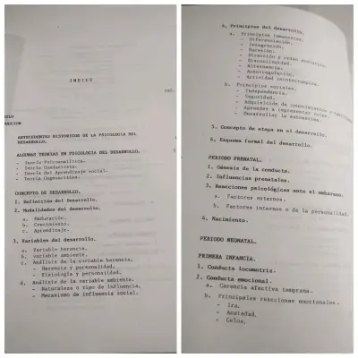 Psicología del Desarrollo. Héctor Castillo Gatica - miniatura 2