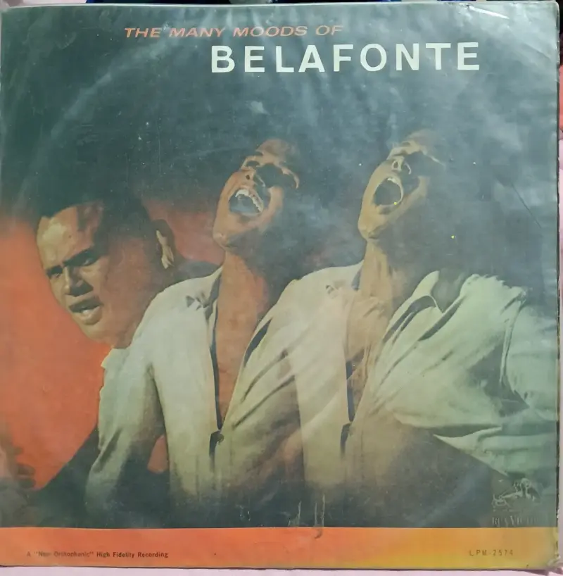 Colección de discos de vinilo - 2