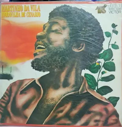 Colección de discos de vinilo - miniatura 5