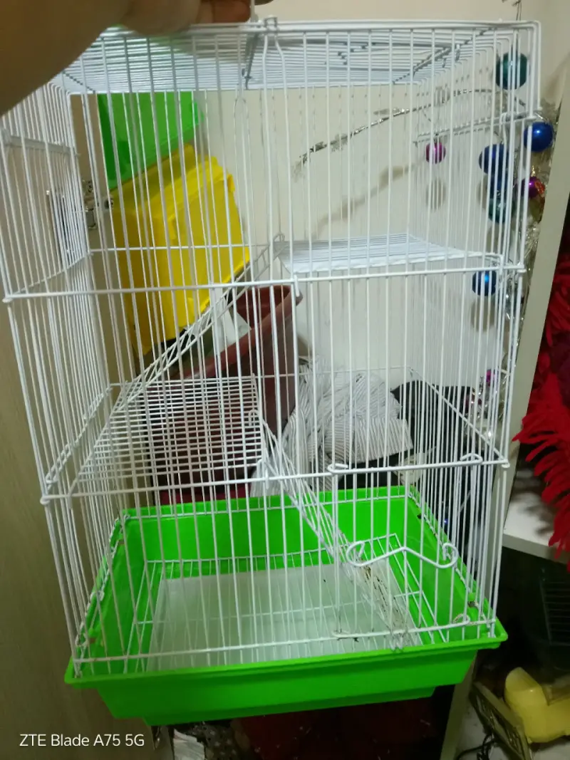 Jaula para aves blanca y verde
