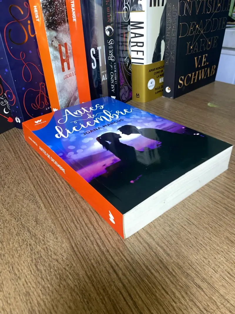 Libro 'Antes de diciembre' Joana Marcus - 1