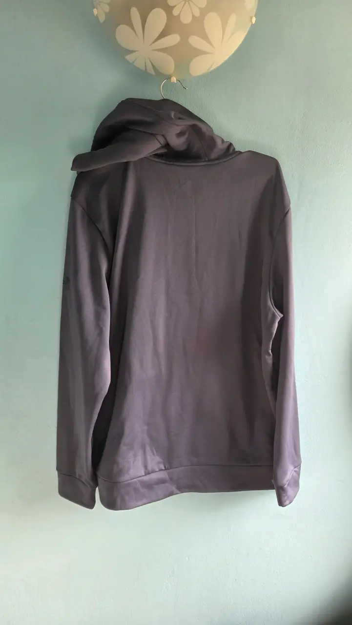 Polerón gris con capucha - 3