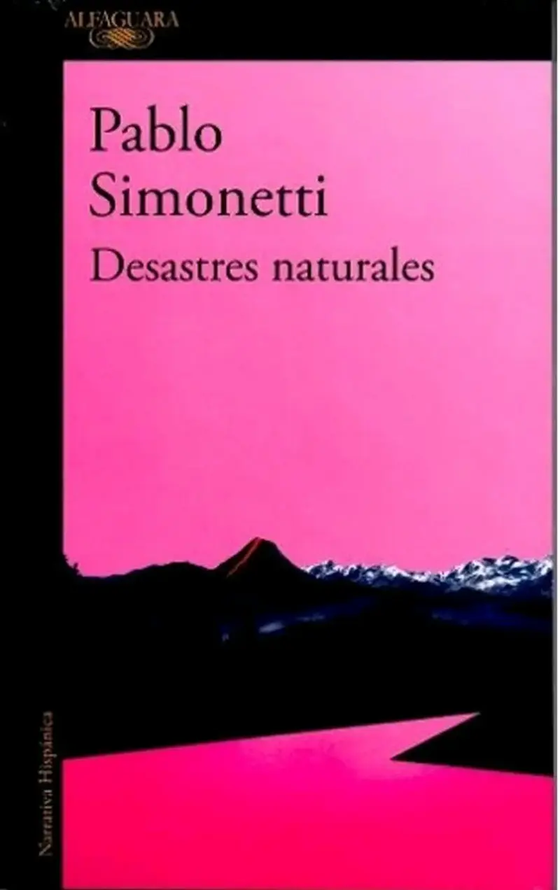 Libro Desastres Naturales Pablo Simonetti