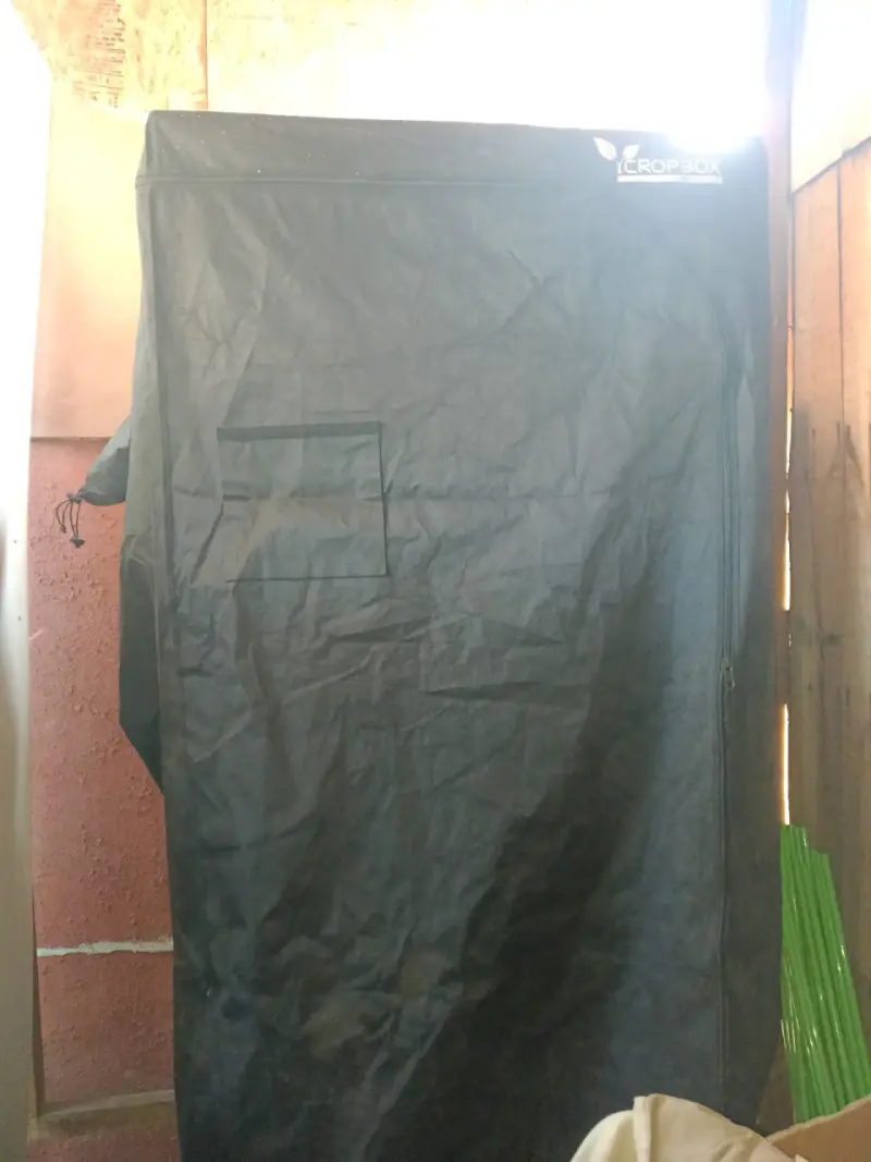Carpa de cultivo interior negra
